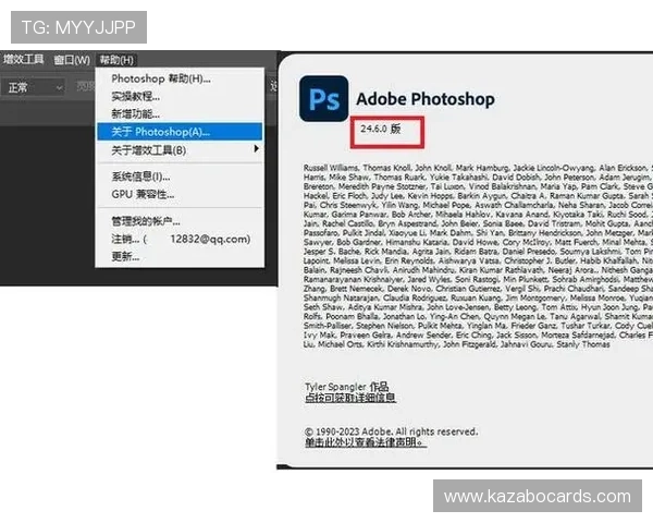 PPG国际服下载最新版本教程及常见安装问题解决方案